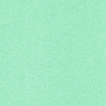 Baumwoll Sweat Jenna meliert Mint