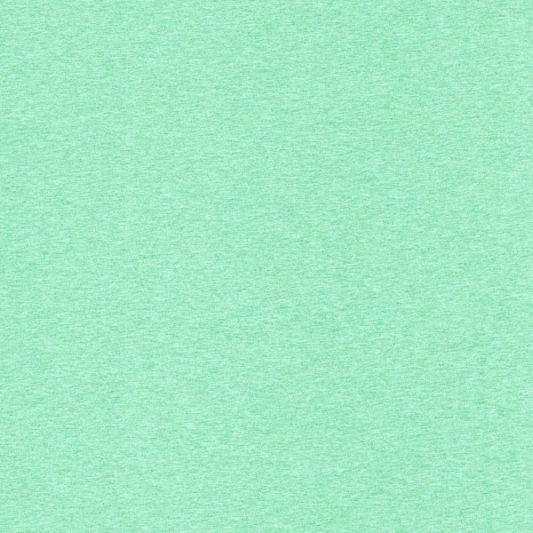 Baumwoll Sweat Jenna meliert Mint