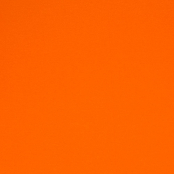 Vanessa orange