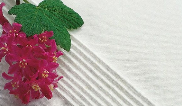 Biesenfuß mit 9 Rillen