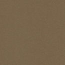 Jenaro meliert Camel